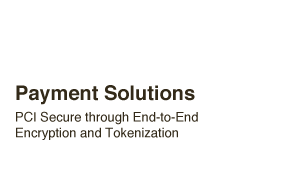 Payment Solutions - Highest security through end-to-end encryption and tokenization